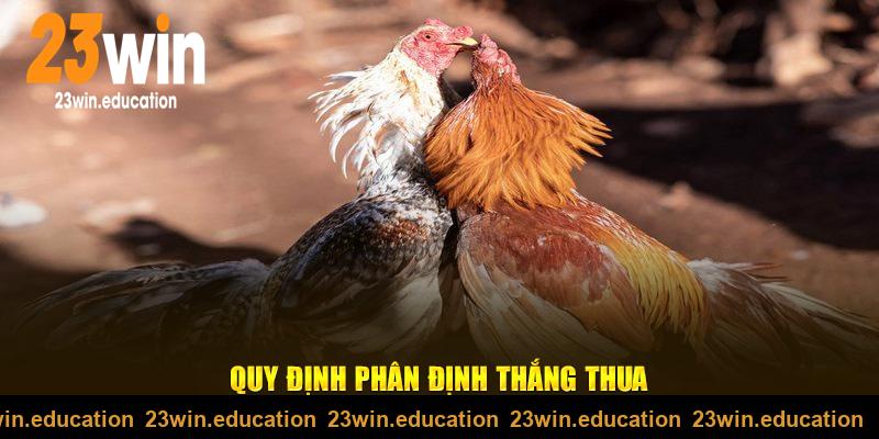 Quy định phân định thắng thua đá gà 23win